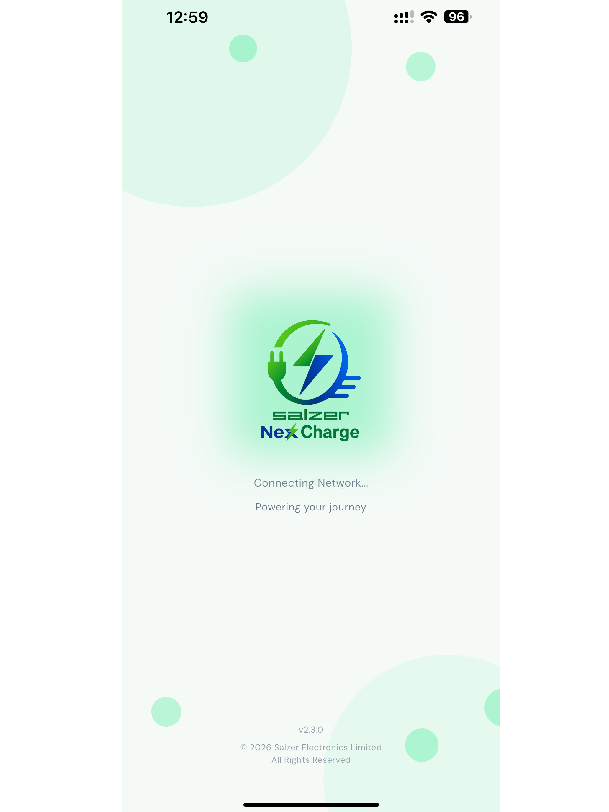 Salzer NexCharge screenshot 7