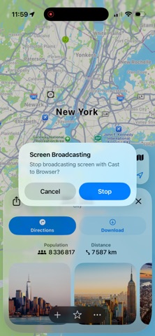 Cast to Browser Screenshot 10 of 10