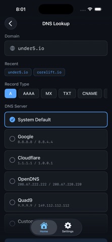 NetProbe. screenshot