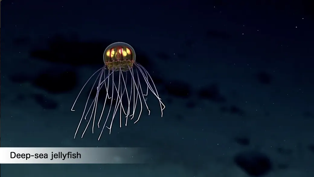 Into God's Eye:Vast Universe screenshot 4