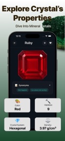 Rock Identifier: Gem Value screenshot