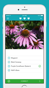 Medicinal Plants PRO · NM screenshot
