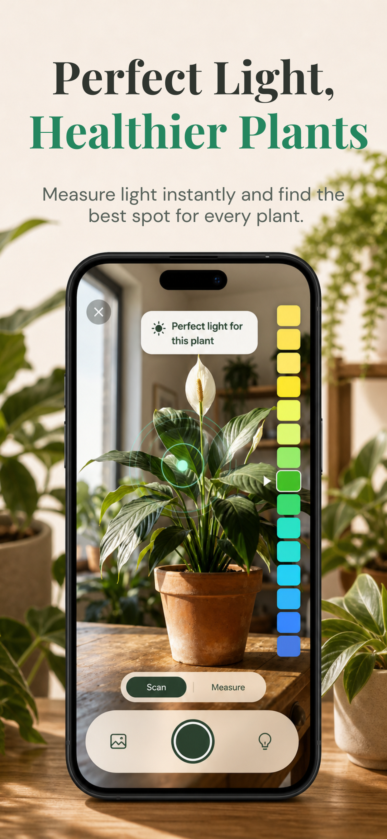 Plant Identifier: Plantaeon screenshot 5