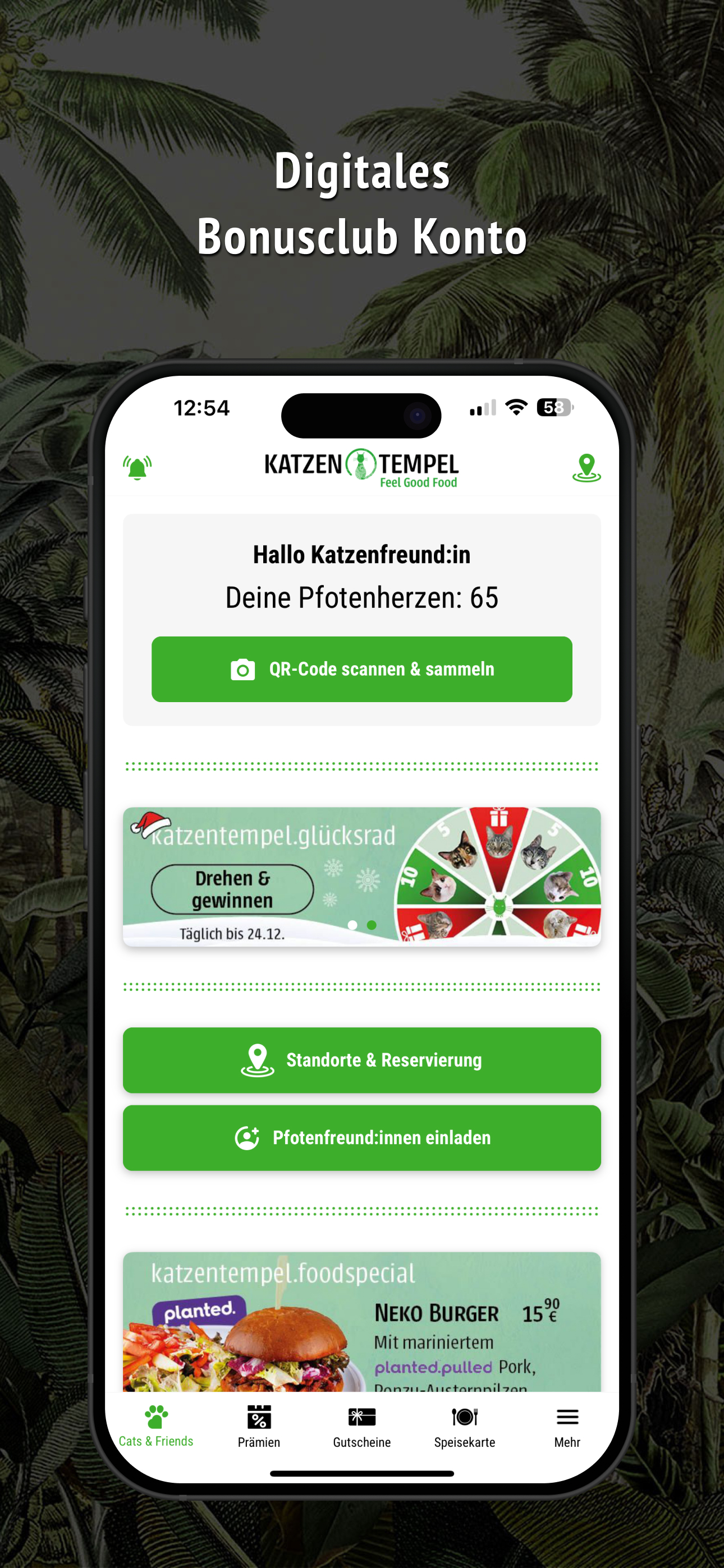 Katzentempel Cats & Friends