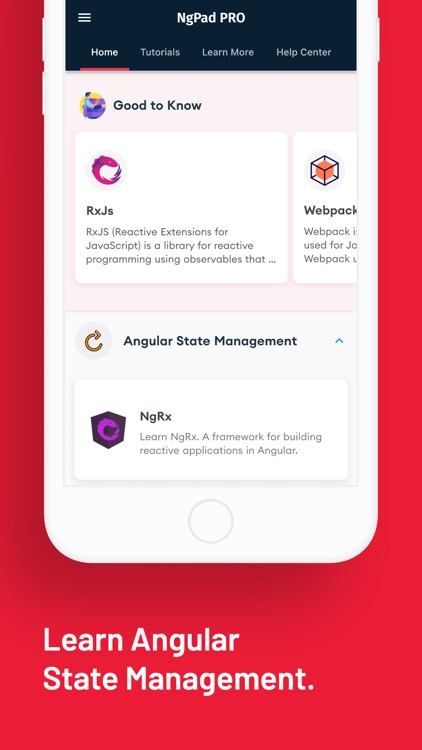 Learn to Code with Angular screenshot-5