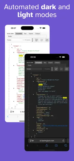 Capture d'écran de Format JSON For Safari sur iPhone 3