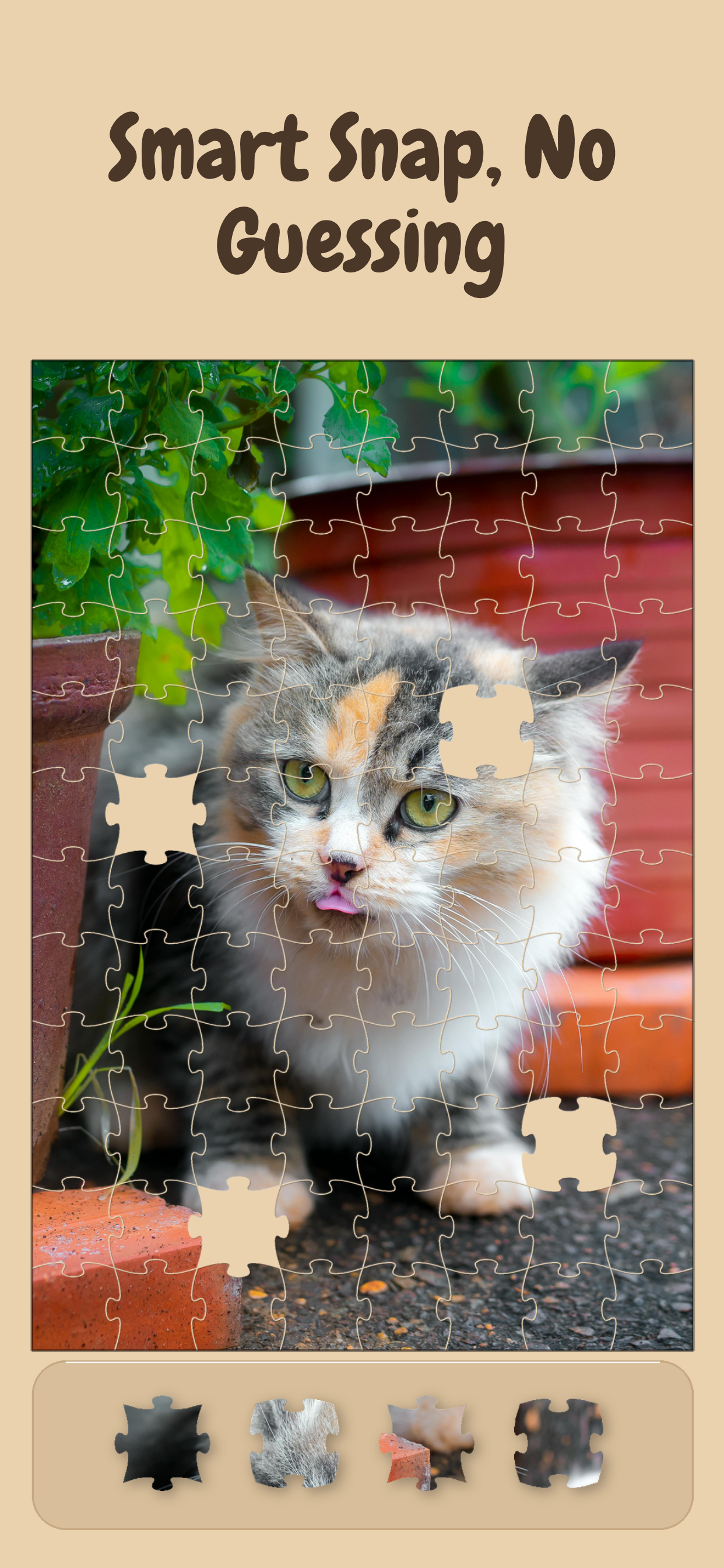 Cozy Jigsaw