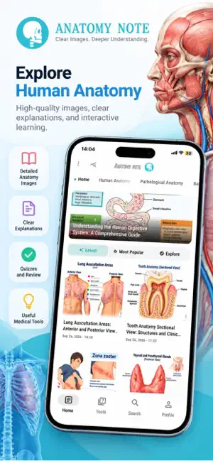 Anatomy note screenshot 1