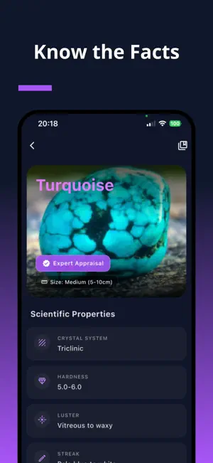 Rock Identifier: AI Gem ID screenshot 2