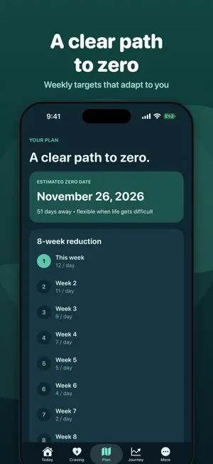 QuitSlow: Cut Down to Quit screenshot 3