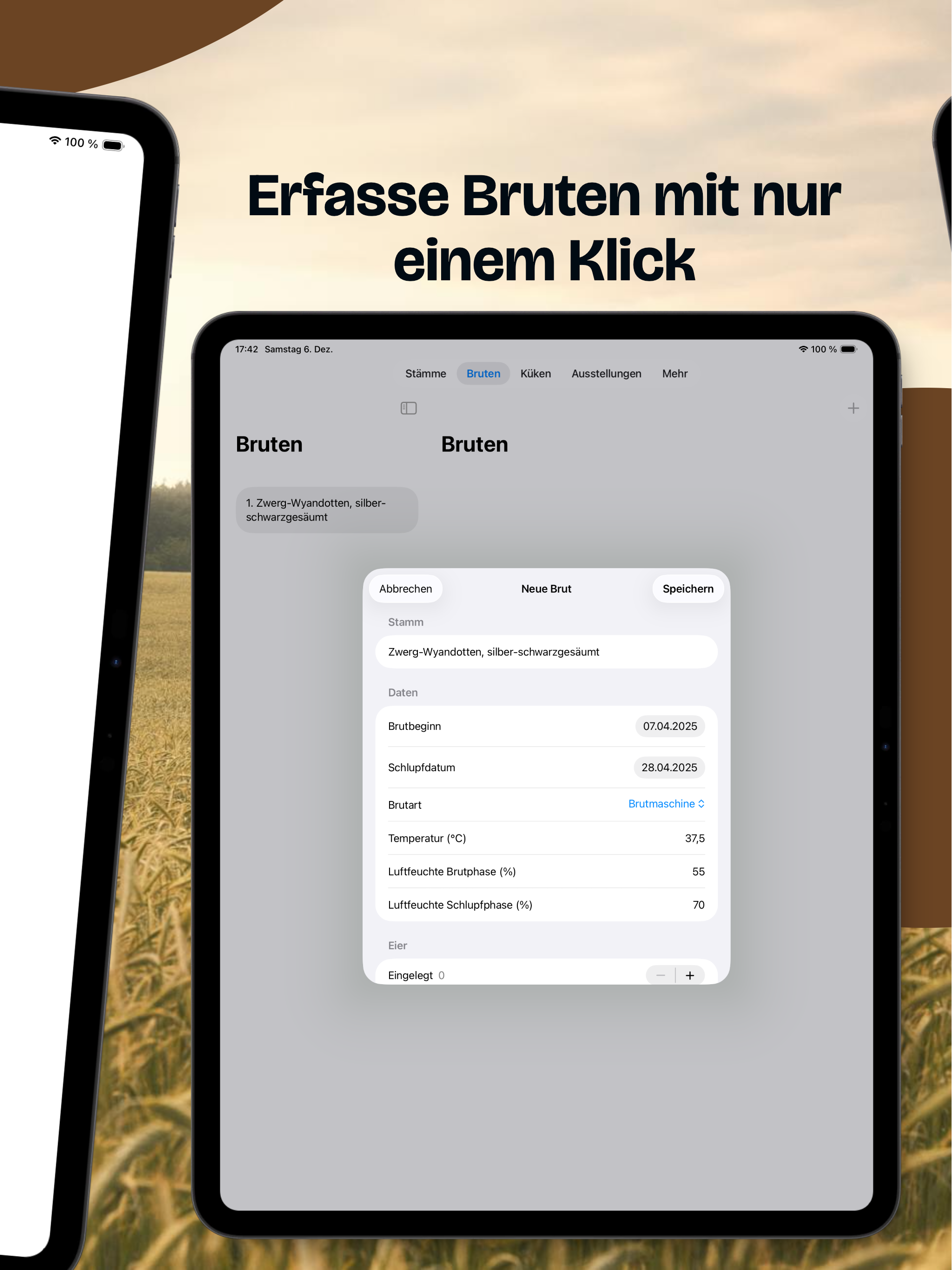 Hühnerzucht