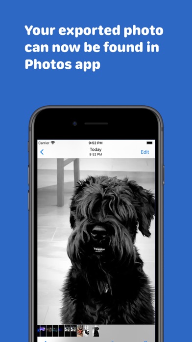 FrameShot - Video to Photo Screenshot