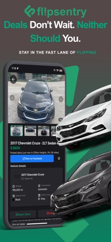 Flipsentry screenshot