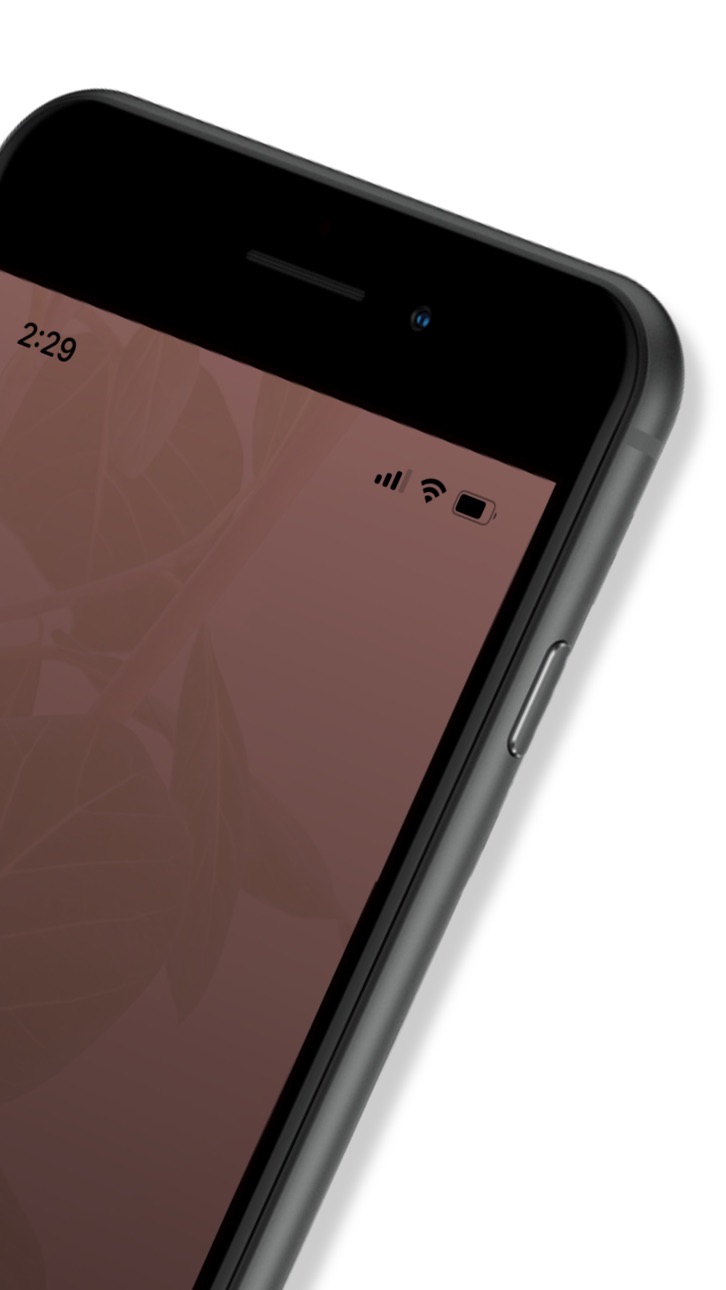 iPhone screenshot