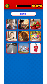 Game to learn Danish Flashcard screenshot