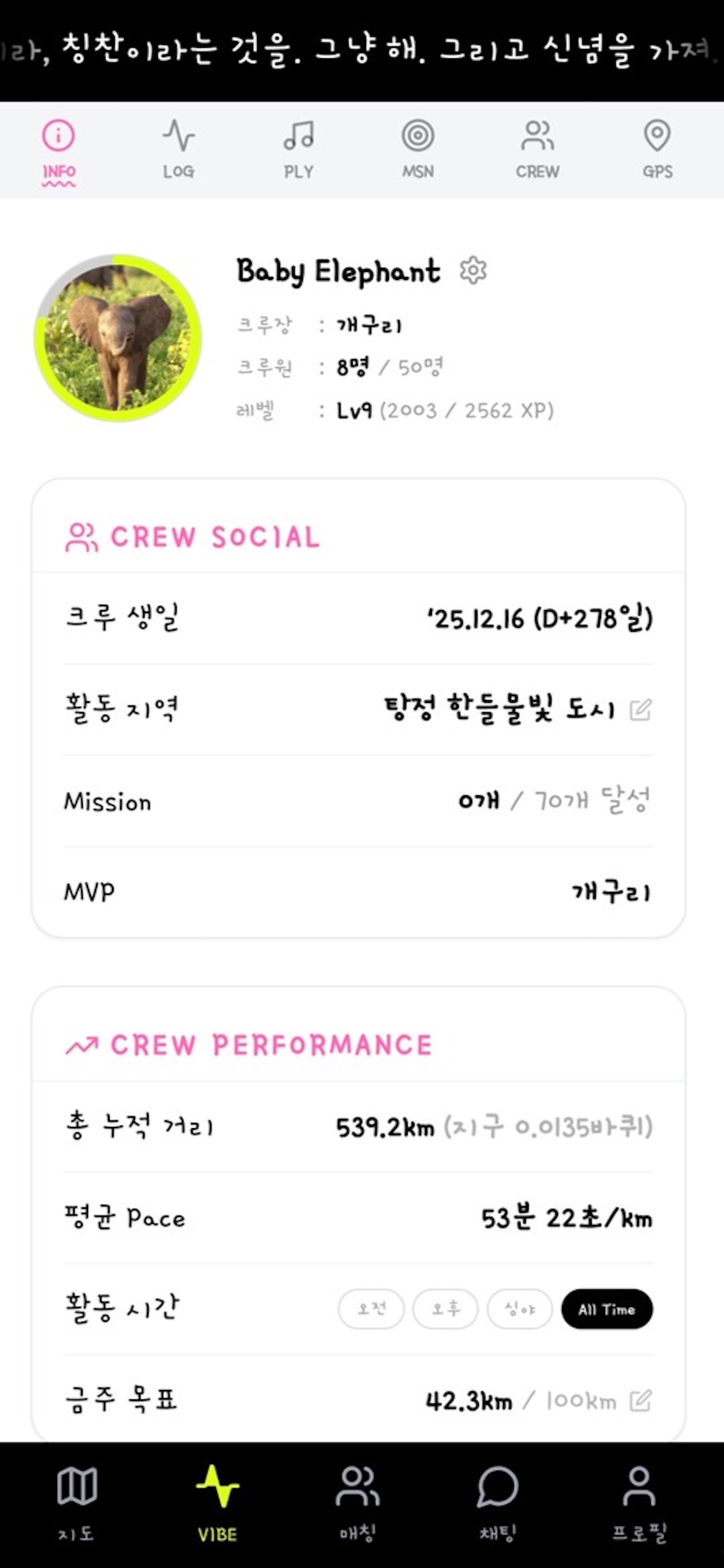 Screenshot 5 of VibeRun