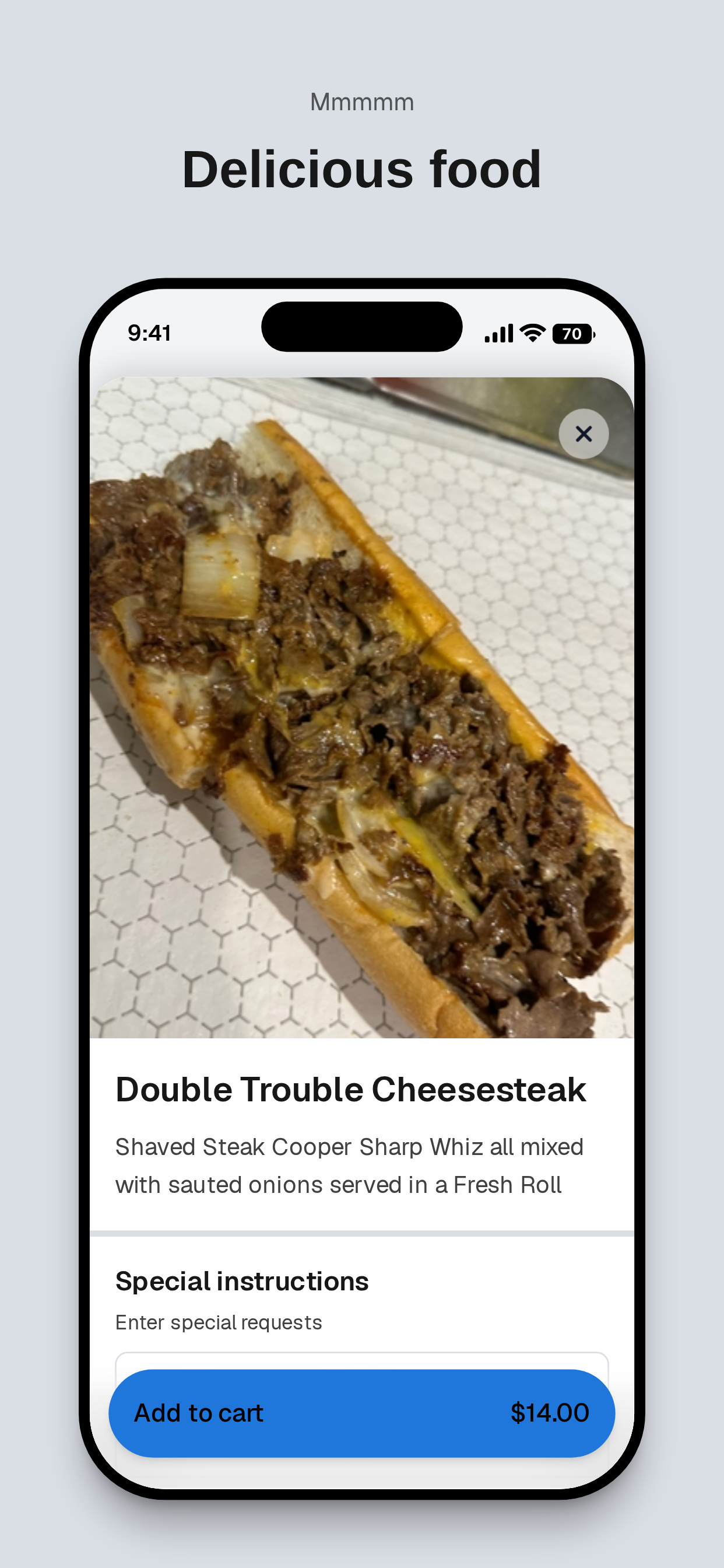 Stuff'D Steaks & Hoagies