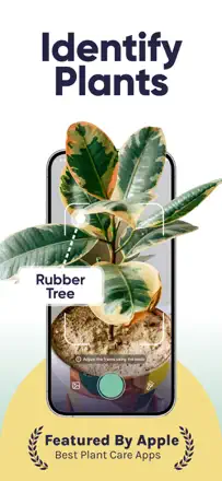 Plant Identifier, Care : capture d’écran 1 sur 8