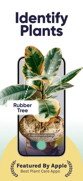 Plant Identifier, Care: Screenshot 1 von 8