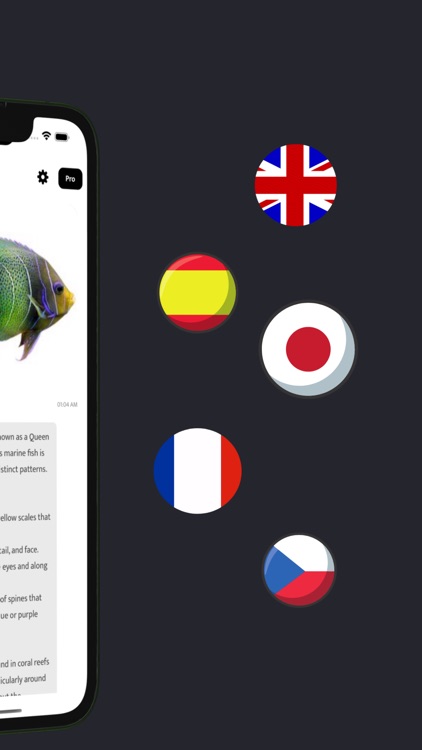 AI Simple Anything Identifier screenshot-5