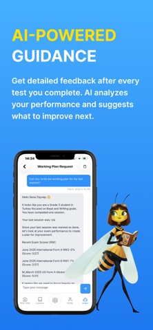 DSatBees screenshot