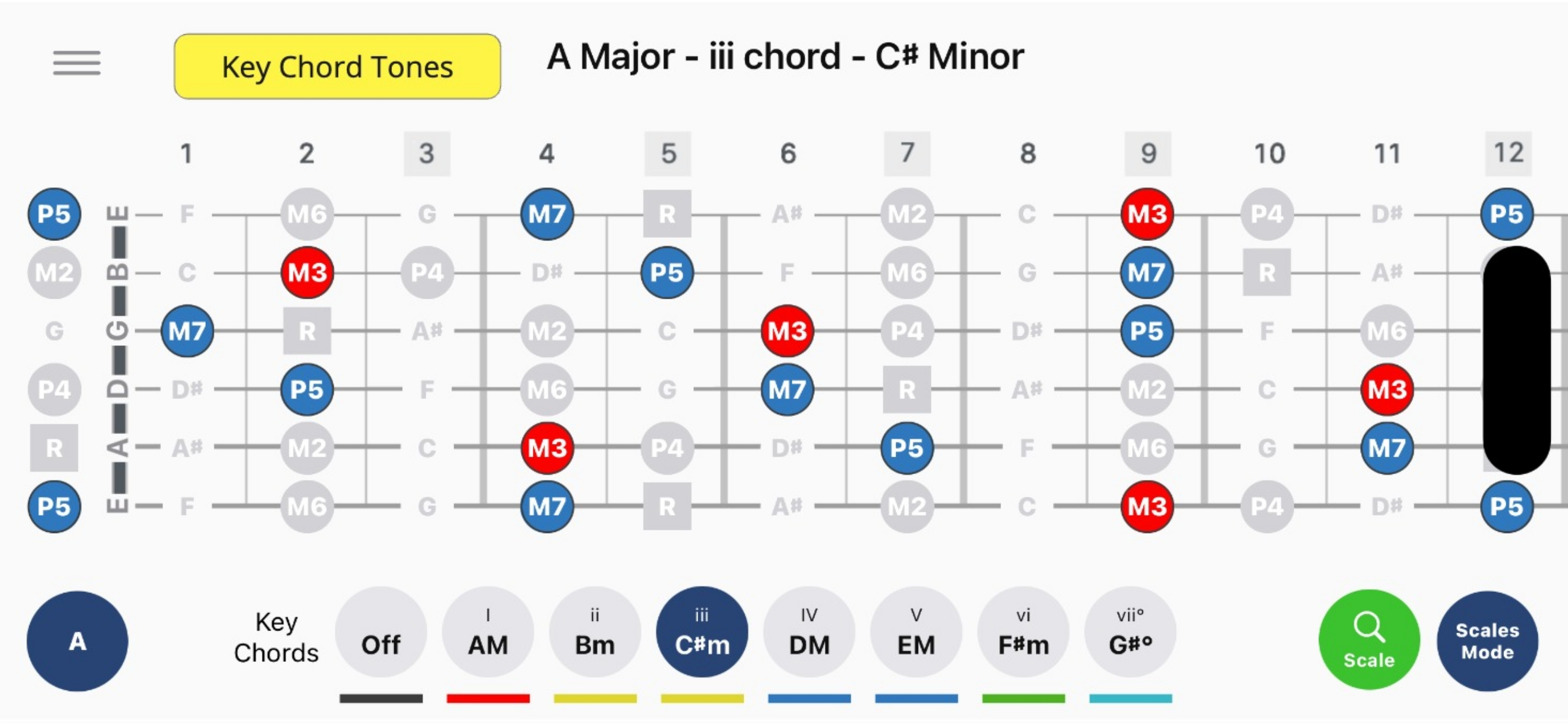 Fret Mastery