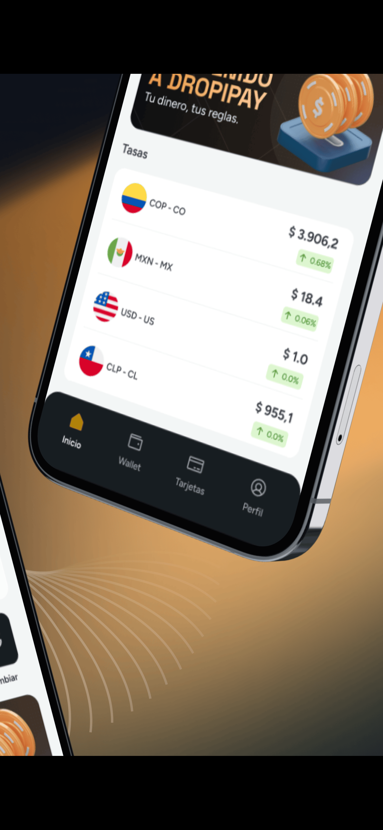 DropiPay screenshot 2