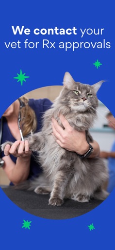 Chewy - Pet Care & Pharmacy screenshot 5