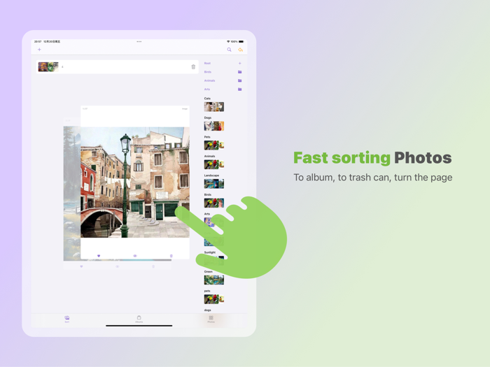 Sorter  Photo Organizer