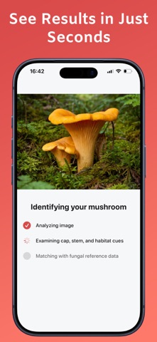 Picture Mushroom－Identifier AI iPhone screenshot