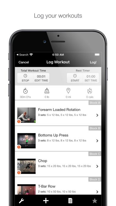ZDT: Online Screenshot
