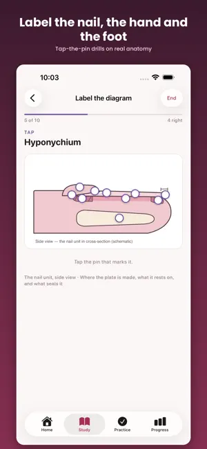 Nail Tech Theory Exam Prep screenshot 3