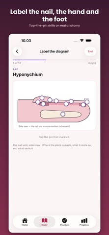 Nail Tech Theory Exam Prep screenshot 3