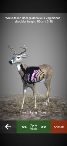 Rifle Hunt Simulator Screenshot 4 of 9