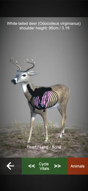 Rifle Hunt Simulator screenshot 4 of 9