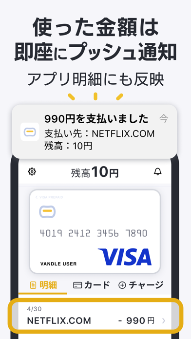 バンドルカード:Visaチャージ式カード、... screenshot1