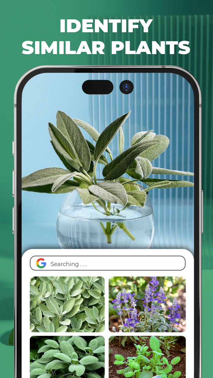 Planet - AI Plant Identifier