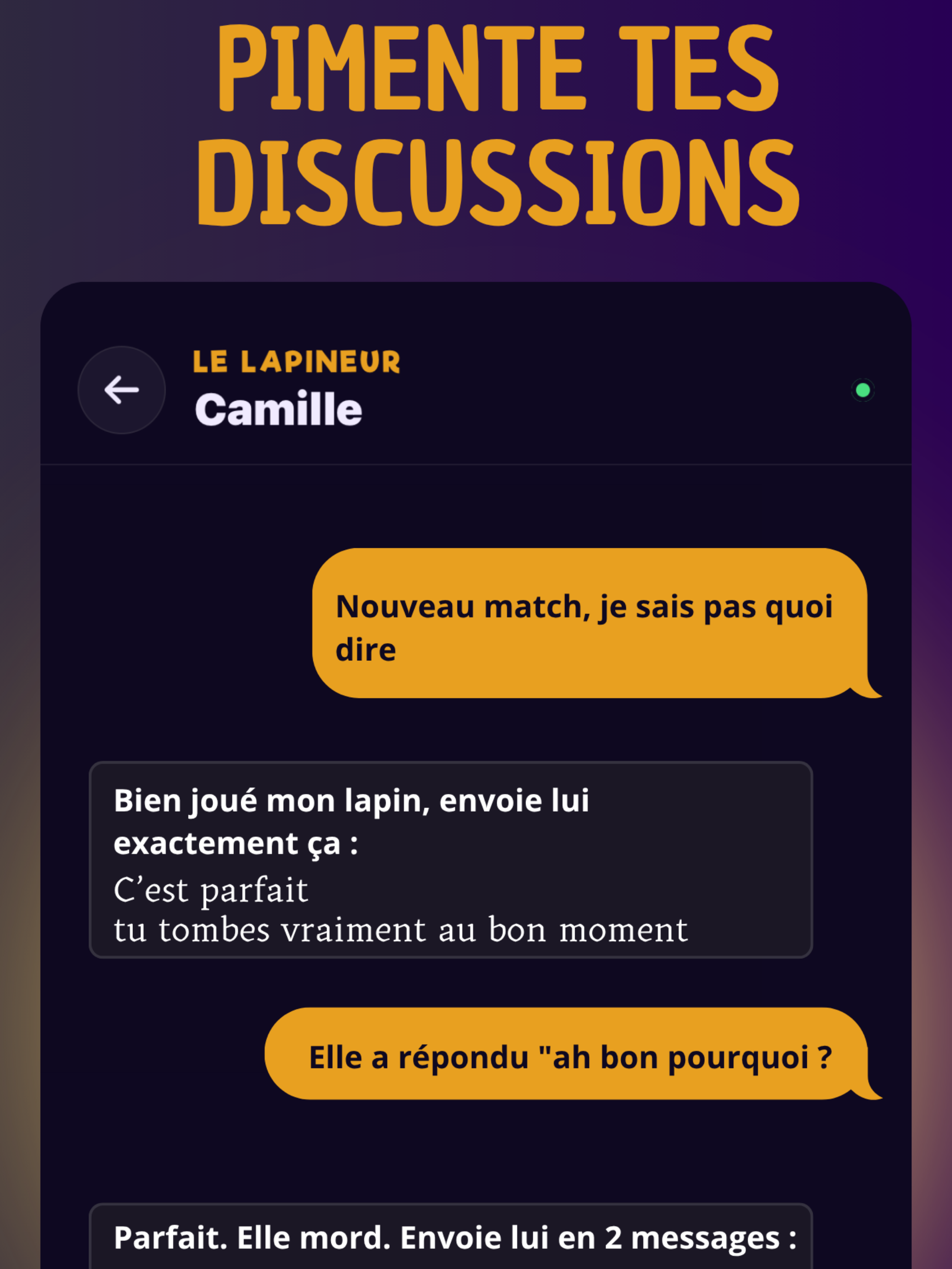 Le Lapineur screenshot 6