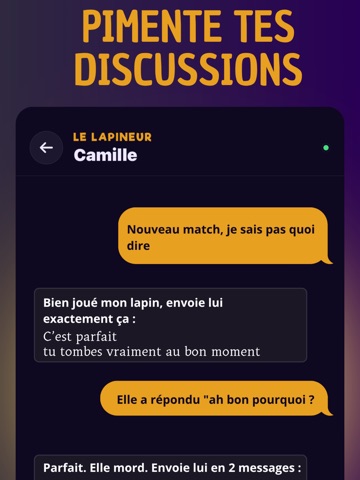 Le Lapineur iPad screenshot