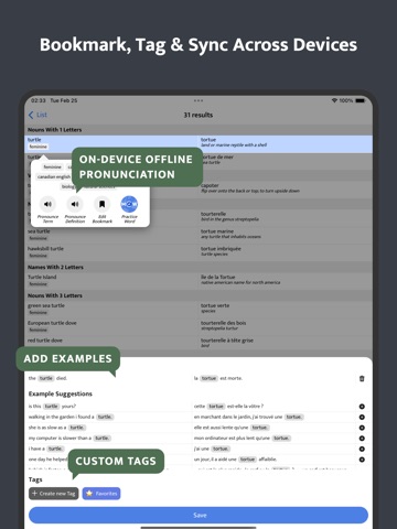 OpenDict - Offline Dictionary iPad screenshot