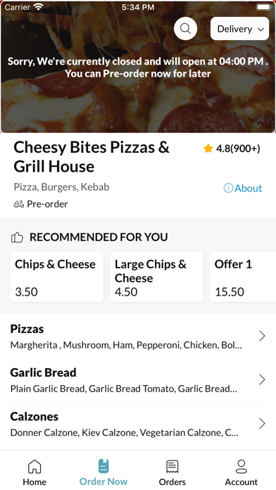 Cheesy Bite Pizza &Grill House Screenshot