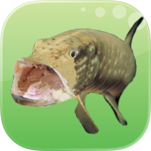 Coarse And Game Fishing