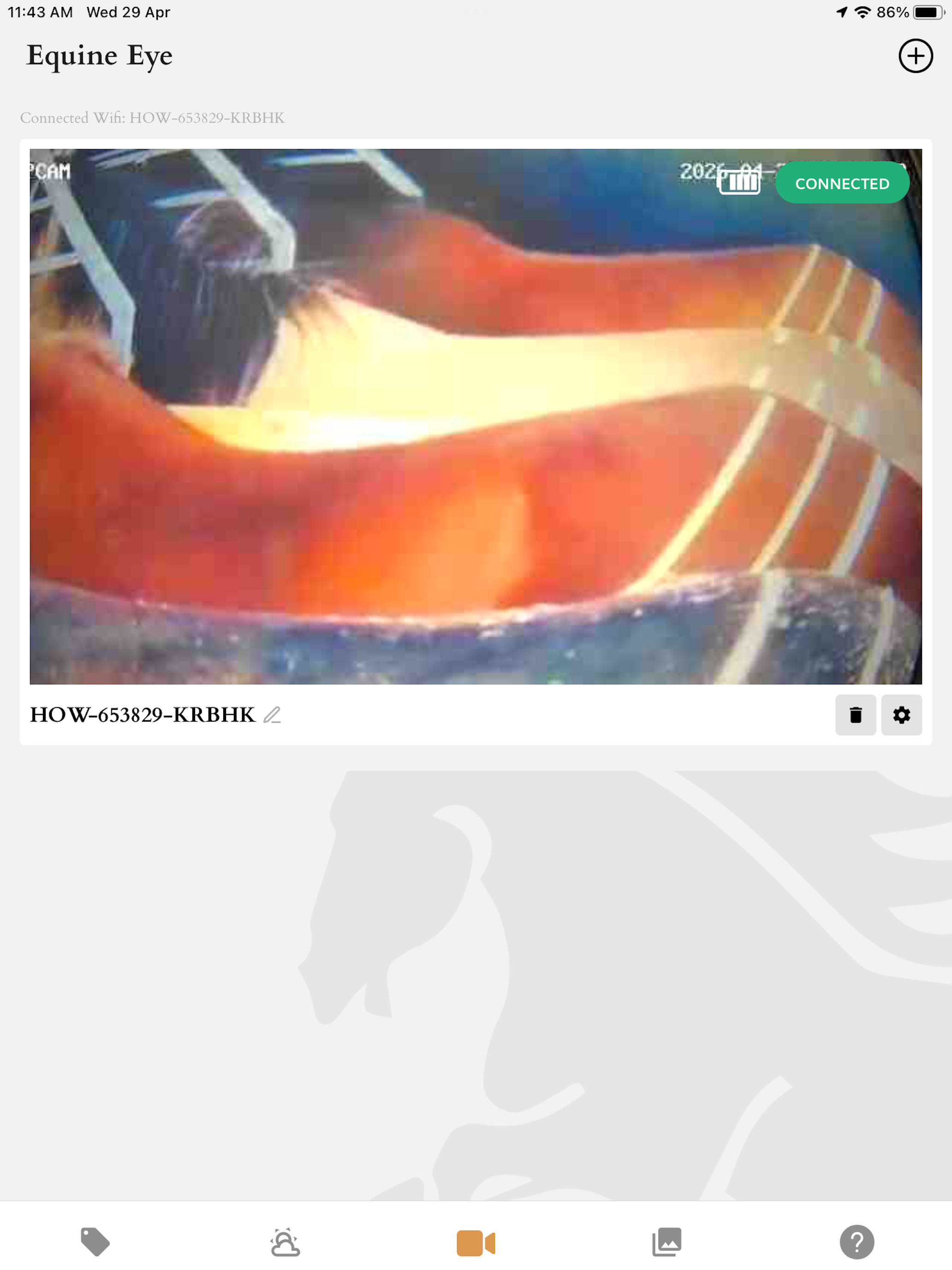 Equine Eye Voyager screenshot 8