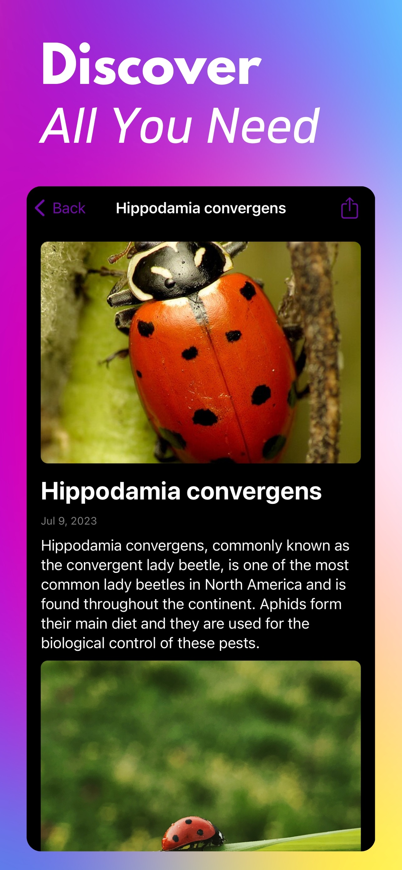 Bug Identifier+ screenshot 4