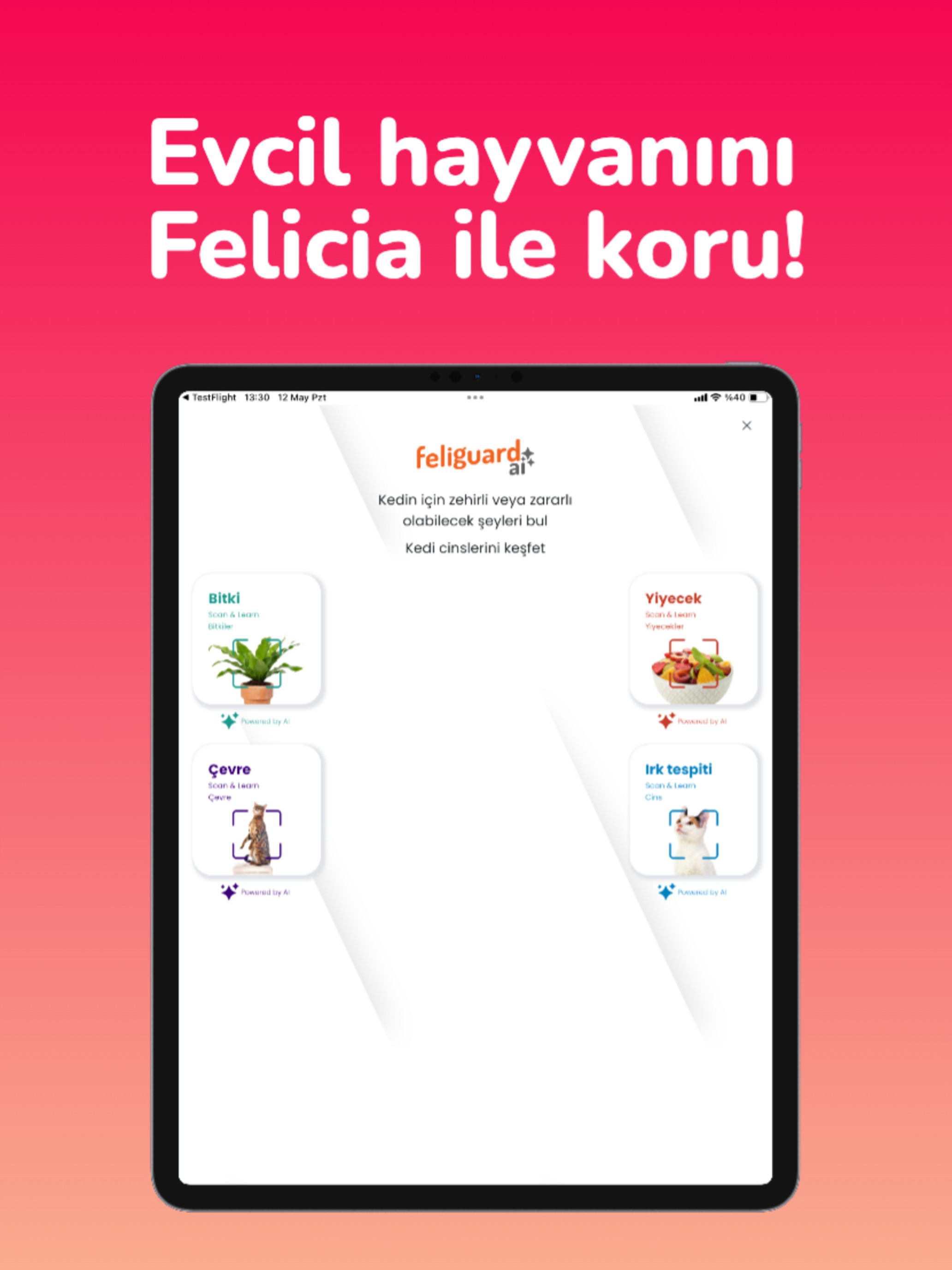 Feliguard by Felicia screenshot 7