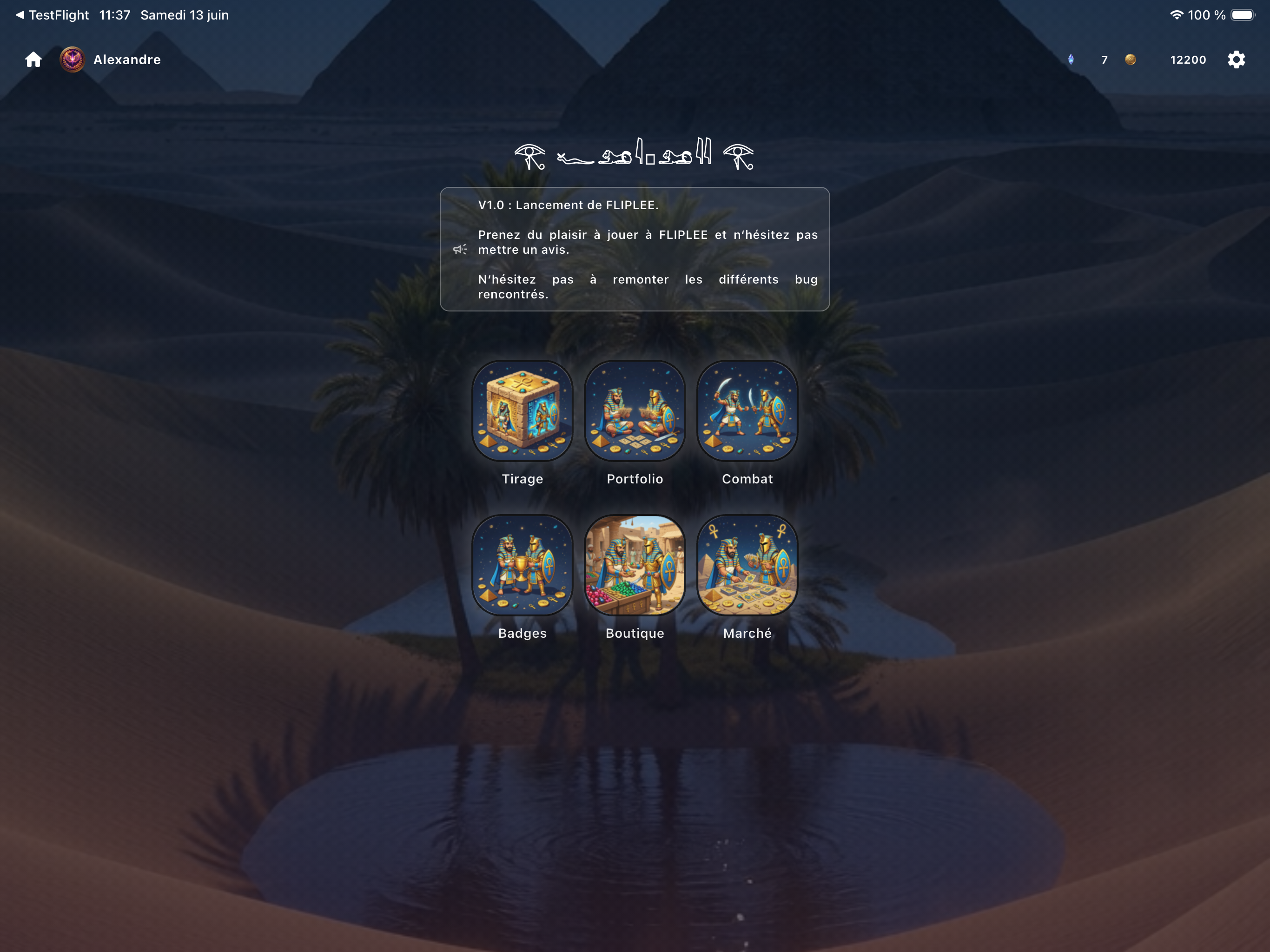 FLIPLEE screenshot 7