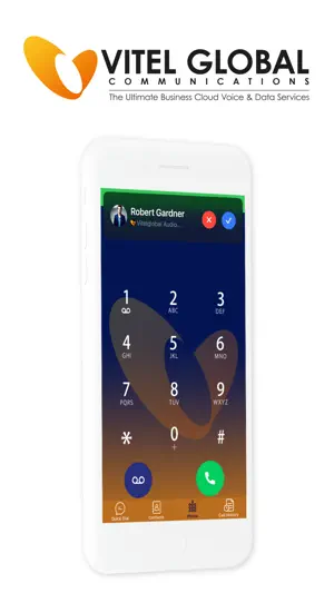 Vitelglobal screenshot 1
