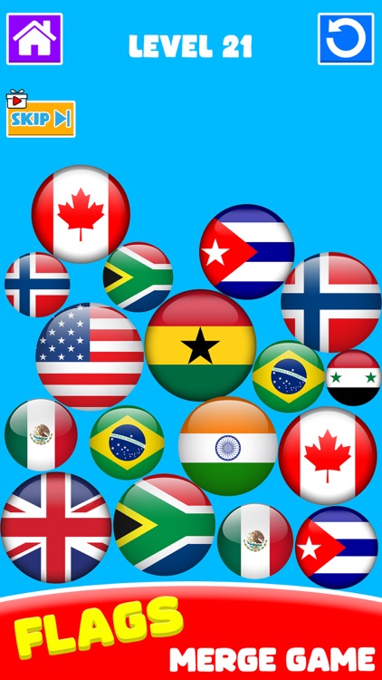 Flag Painting: Puzzle Game 3D screenshot-5