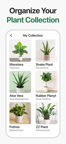 Plant Identifier - Scan & Care iPhone screenshot