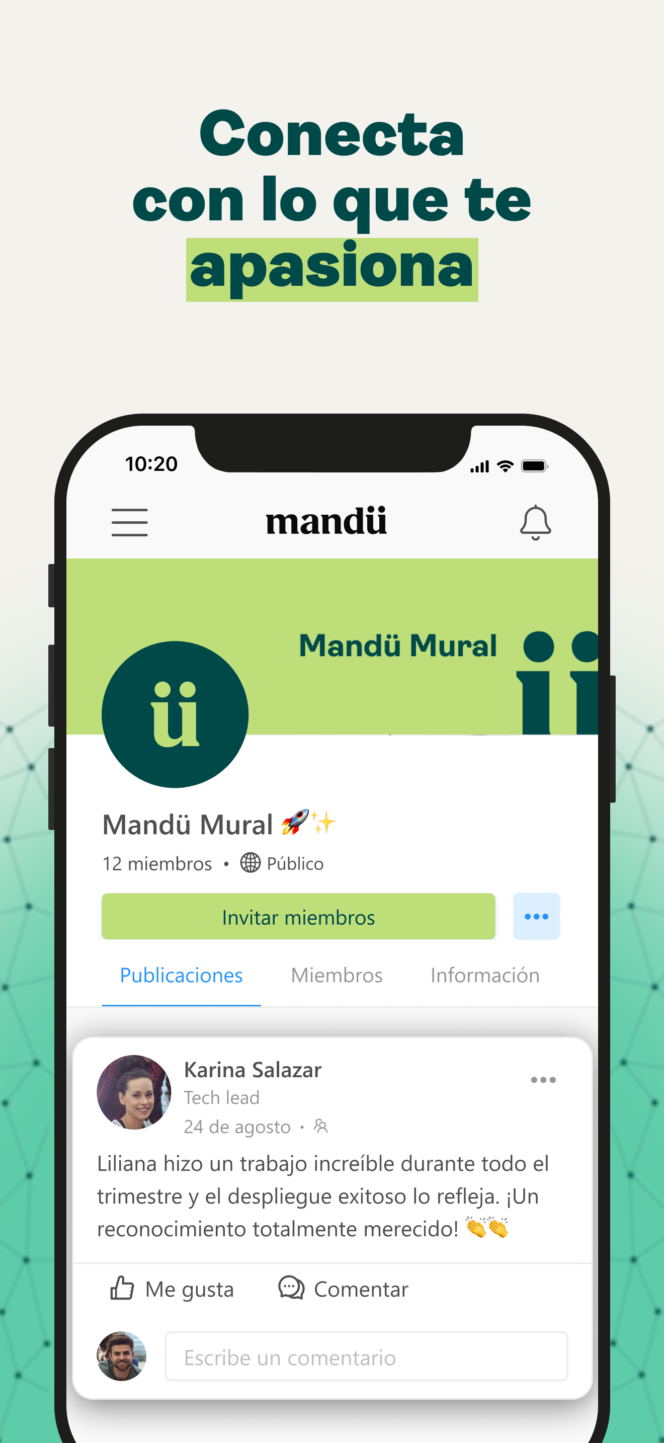 Mandü screenshot 4